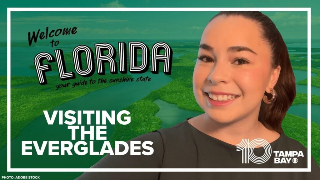 You Cannot See the Everglades From a Car Window. Here Is What You Actually Have to Do to Experience It. You Cannot See the Everglades From a Car Window. Here Is What You Actually Have to Do to Experience It.