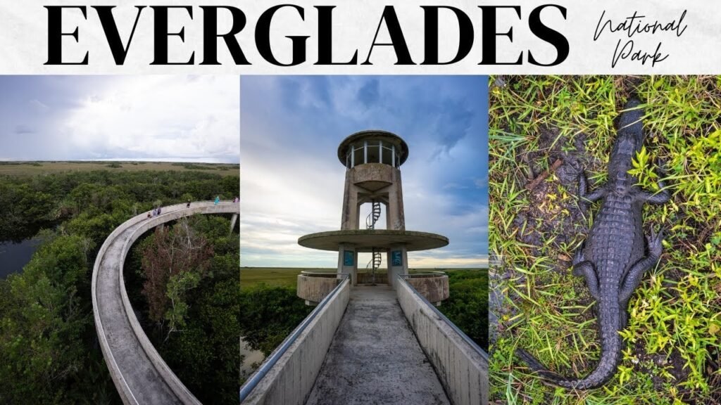 Why Travel Writers Keep Calling Everglades City a Hidden Gem — and Why Locals Are Starting to Resent That Word Why Travel Writers Keep Calling Everglades City a Hidden Gem — and Why Locals Are Starting to Resent That Word