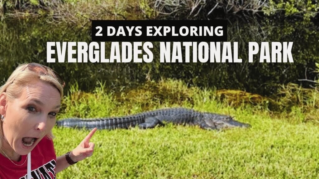 The Everglades Airboat Tour Operators Who Have Been Fighting the National Park Service for 30 Years — and Are Still Winning