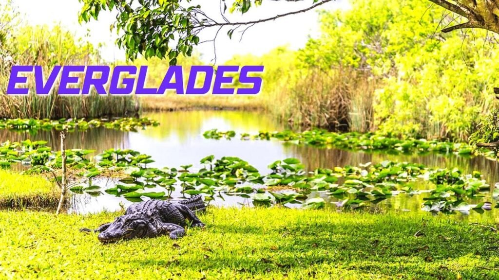 Four Florida Weekend Trips That Have Nothing to Do With Theme Parks, Beaches, or Brunch Reservations