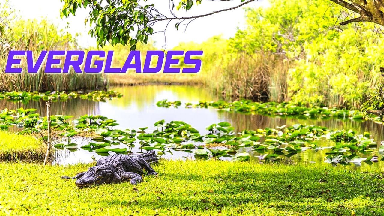 Four Florida Weekend Trips That Have Nothing to Do With Theme Parks, Beaches, or Brunch Reservations