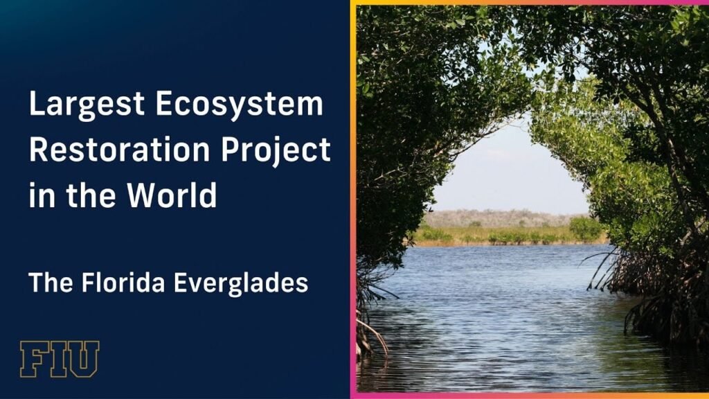 Scientists Say the Everglades Is in the Middle of the Largest Ecological Restoration in American History. Most Floridians Have No Idea.