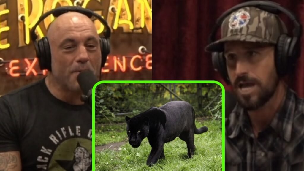 The Florida Panther Has Fewer Than 200 Members Left. The Everglades May Be the Only Place That Can Save It.