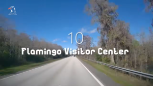 Things to do in Everglades City