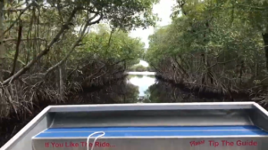 everglades city airboat tours