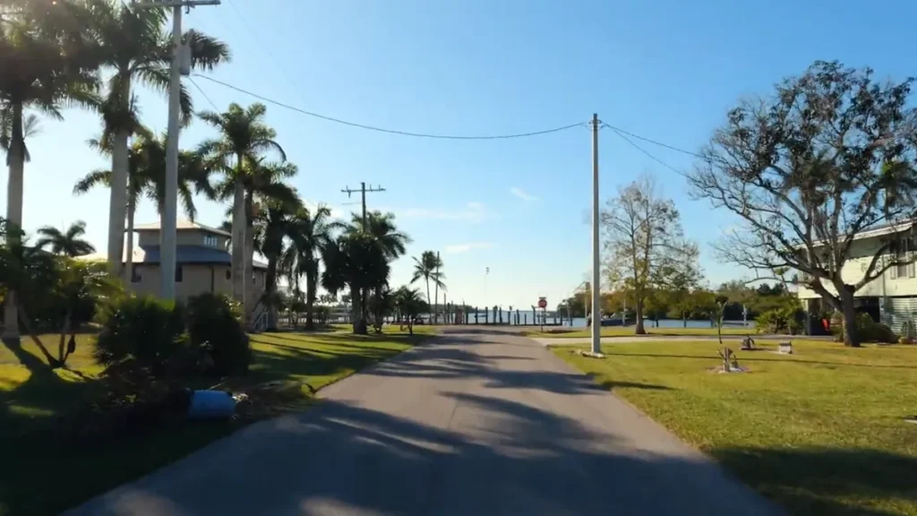 Everglades City Boardwalk Guide: 5 Key Trails, Wildlife Facts, and Visitor Tips