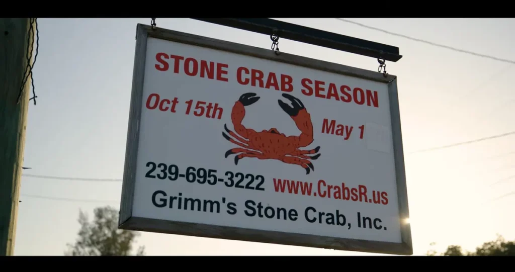 Everglades City Stone Crabs: A Complete Season, Harvesting, and Dining Guide