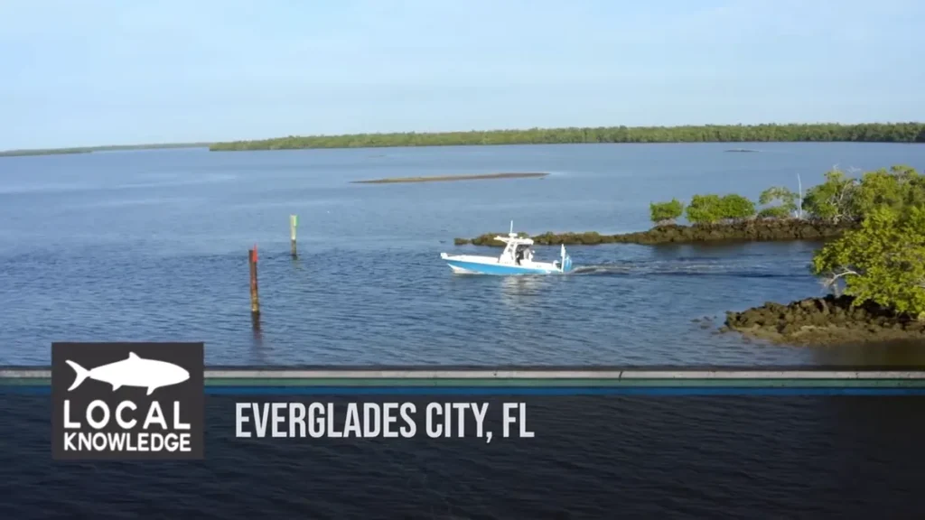 Fishing in Everglades City Florida: 8 Species, Top Spots, and Guide Tips for Anglers