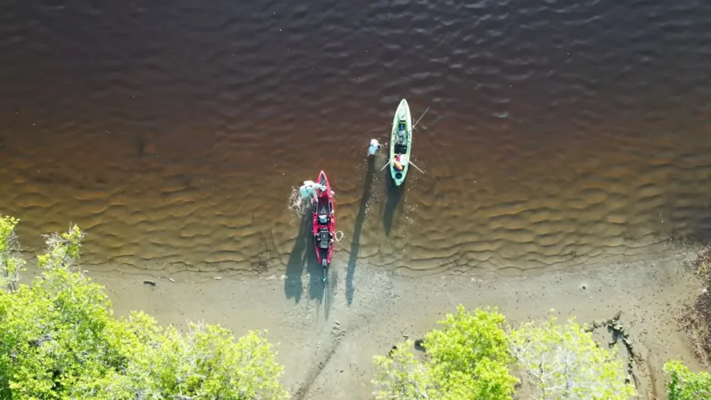 Kayaking in Everglades City: 6 Trails, Best Season, and Essential Safety Tips Kayaking in Everglades City: 6 Trails, Best Season, and Essential Safety Tips