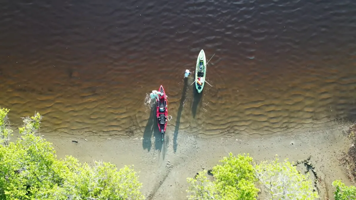 Kayaking in Everglades City: 6 Trails, Best Season, and Essential Safety Tips