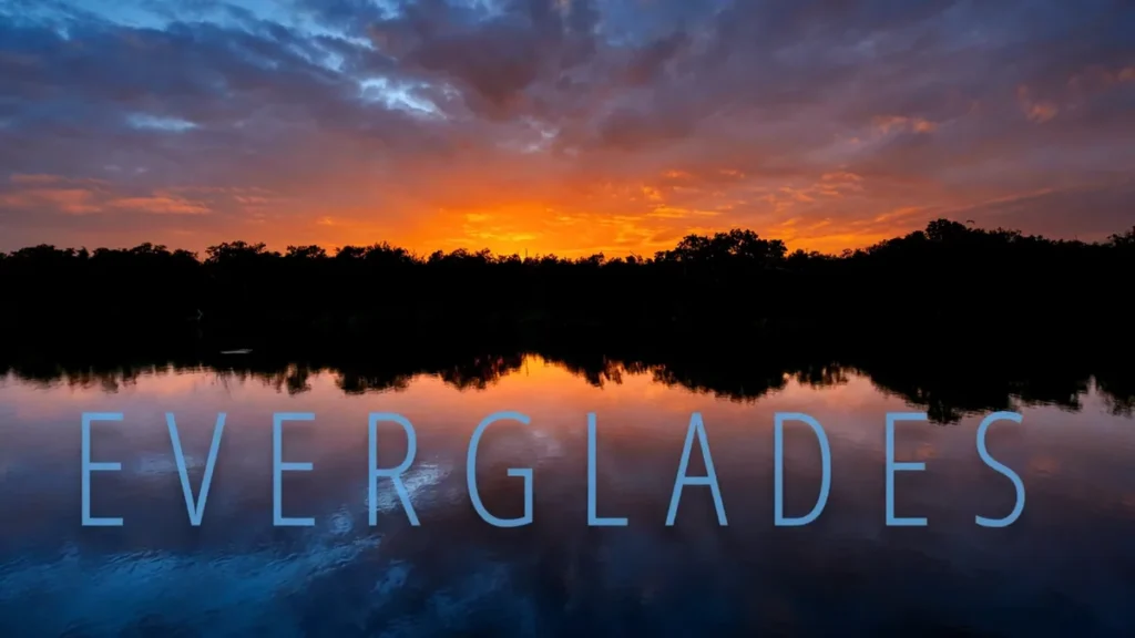 Everglades City Kayak Rental and Tours: 5 Key Facts About Paddling Florida’s Last Frontier Everglades City Kayak Rental and Tours: 5 Key Facts About Paddling Florida's Last Frontier