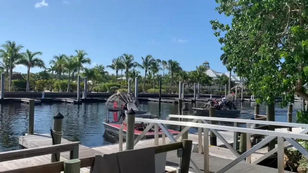 Marco Island to Everglades City, FL: Distance, Drive Route, and 5 Travel Tips